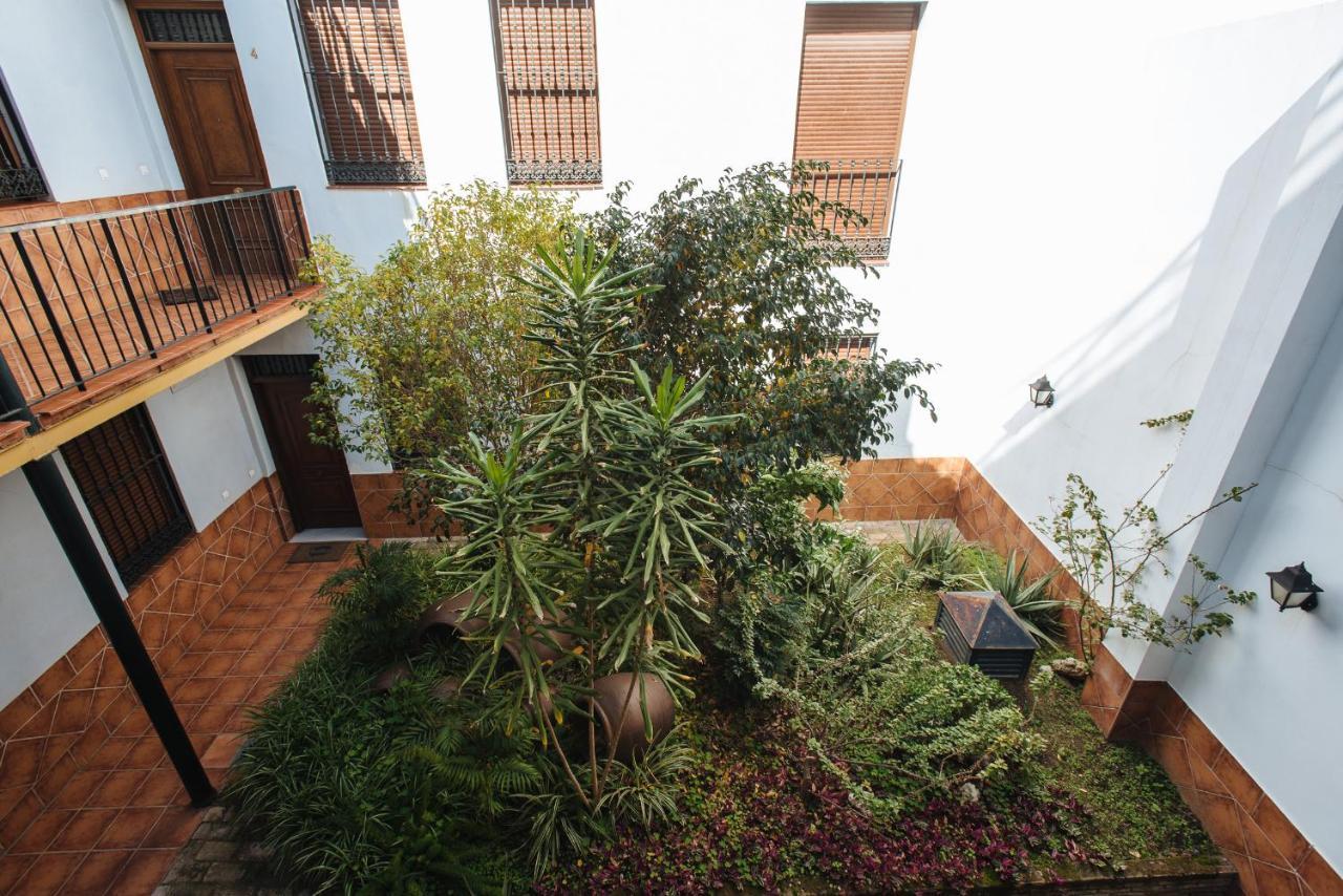 Requena Appartement *